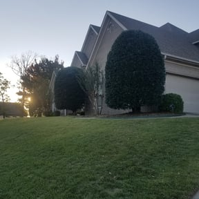 Bush Trimming by Greener Grass Cutting reviewed on August 20, 2025
