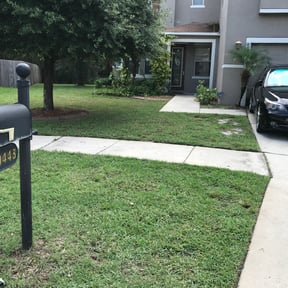 Bush Trimming by J&E Lawn care reviewed on August 14, 2025