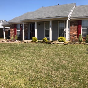 Bush Trimming by D&amp;N All Purpose Services reviewed on November 24, 2025