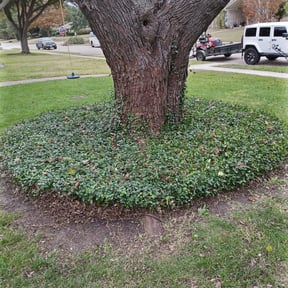 Leaf Removal by Three E&#039;s Lawn Care LLC. reviewed on September 20, 2025