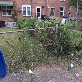 Bush Trimming by Lillardllc reviewed on April 29, 2026