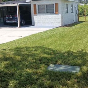 gardening service by Vite Handyman Services reviewed on December 11, 2025