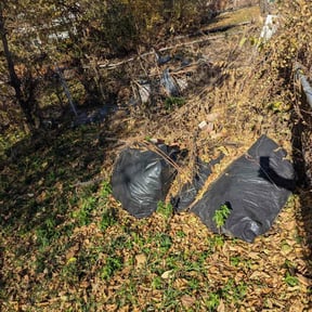 Leaf Removal by Shawn Hussey Lawns reviewed on November 22, 2025