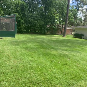 landscaping by A-1 Affordable Lawn Care reviewed on November 18, 2025