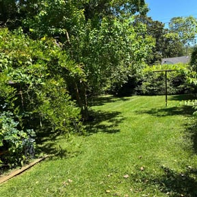 landscaping by Lo's some like the pros reviewed on December 12, 2025