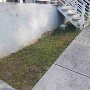 Flower Bed Weeding by Wake and rake lawn care and landscaping reviewed on August 15, 2026