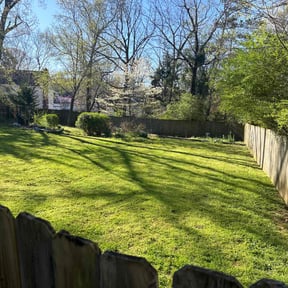gardening service by Groundz Control Landscaping and Tree Service reviewed on August 19, 2025