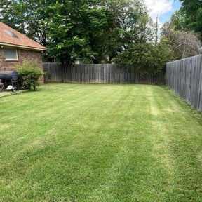 grass maintenance by Clean Cuts Plus LLC reviewed on April 23, 2024