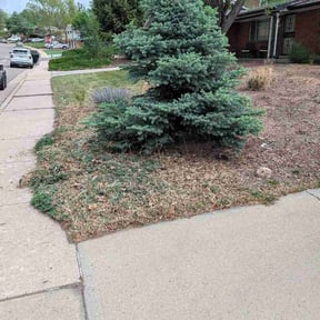 Flower Bed Weeding by EL Concrete Construction LLC reviewed on May 21, 2026