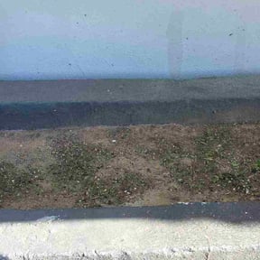 Flower Bed Weeding by Lawless Lawn And Services LLC reviewed on November 10, 2025