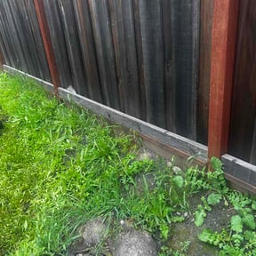 Bush Trimming by EV Great Valley Landscaping,LLC. reviewed on May 29, 2026