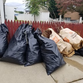 Bush Trimming by Class A Landscaping reviewed on August 14, 2025