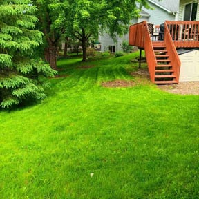 yard care by J&R Cutting it Up reviewed on August 15, 2025