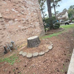Flower Bed Weeding by Jose Landscaping. reviewed on April 23, 2026