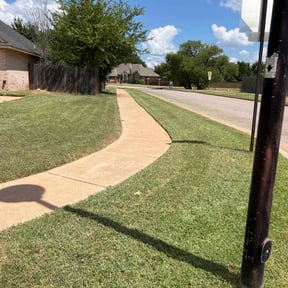 grass maintenance by Salone Lawn & Tree Service LLC. reviewed on August 19, 2025