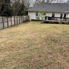 Leaf Removal by LOUS LAWN CUTS reviewed on March 25, 2026