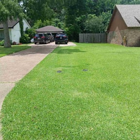 yard maintenance by Three E's Lawn Care LLC. reviewed on July 27, 2023