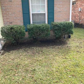 Bush Trimming by Sovereign Holding LLC reviewed on December 16, 2025