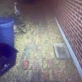 Bush Trimming by Ramon Moreno reviewed on November 23, 2025