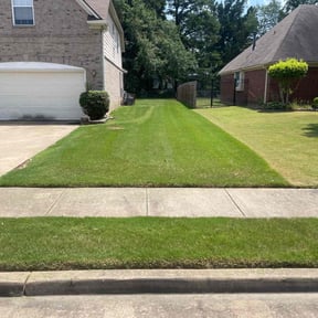 turf maintenance by Groves Lawn Care reviewed on May 6, 2024