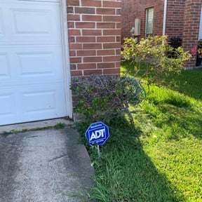 Bush Trimming by Crutchfield Property Maintenance reviewed on August 16, 2025