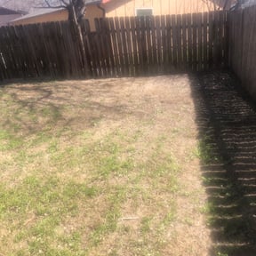 Leaf Removal by Salamanca&#039;s Landscaping LLC  reviewed on September 19, 2025