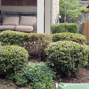 Bush Trimming by GrassFX Lawn Care reviewed on August 18, 2025