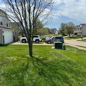 residential landscaping by Yard Dr. LLC reviewed on December 24, 2025