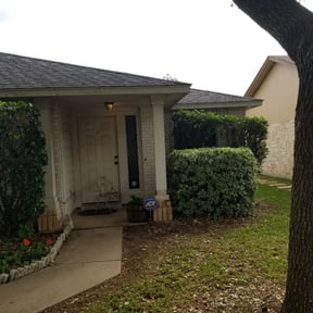 Bush Trimming by Beyond Clean reviewed on May 2, 2024