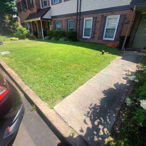 lawn maintenance by Spring up fall down gardens reviewed on June 19, 2025