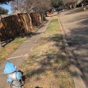 Leaf Removal by Price Cuttz &amp; Lawncare reviewed on March 23, 2026