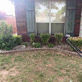 Bush Trimming by Better lawn care reviewed on April 30, 2026
