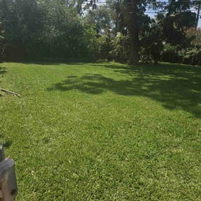 grass cutting by Slice'n Whack reviewed on August 13, 2023