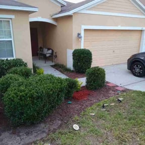 Bush Trimming by Matus lawncare reviewed on June 7, 2026