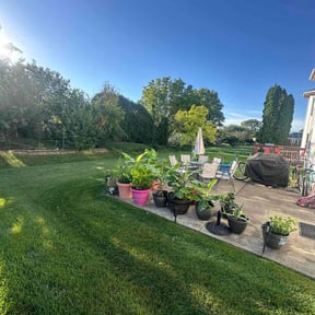 landscape maintenance by SN Landscaping reviewed on August 16, 2025
