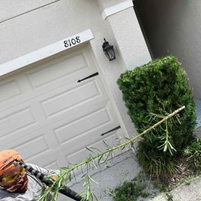 Bush Trimming by Thomas Enterprise LLC reviewed on November 8, 2025