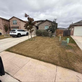 Bush Trimming by T&amp;M Lawn Services reviewed on January 29, 2026