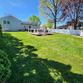 lawn service by Rafael Navedo reviewed on May 16, 2024