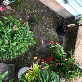 Flower Bed Weeding by D lewis labor llc reviewed on May 23, 2026