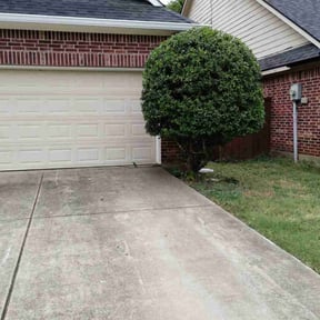 Bush Trimming by K.M.W. Lawn Services & Logistics LLC reviewed on August 13, 2025