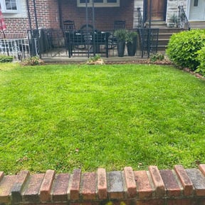 lawn service by Kingdom Creations reviewed on May 19, 2024