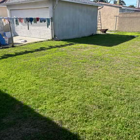 lawn care by Forever Green FG LLC reviewed on March 27, 2025