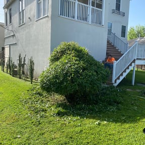 Bush Trimming by AC LAWNCARE reviewed on August 21, 2025