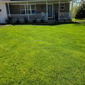 yard work by L&H Lawncare reviewed on August 14, 2025