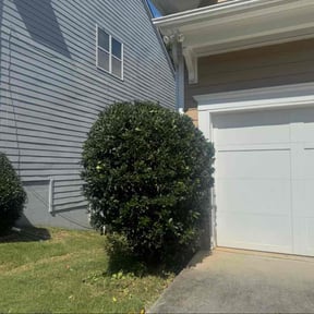 Bush Trimming by SLC Groundskeepers reviewed on November 20, 2025