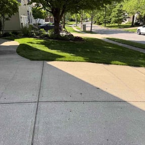 grass maintenance by Mow-4-U reviewed on August 19, 2025