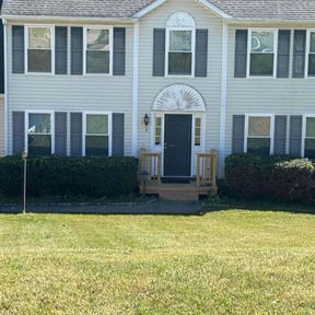 Bush Trimming by Benjmain Property Solutions reviewed on July 8, 2020