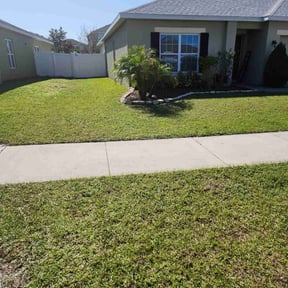 Bush Trimming by Precise Lines Lawn Care reviewed on August 15, 2025