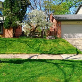 Leaf Removal by Edge to Edge Services 591 reviewed on April 5, 2025