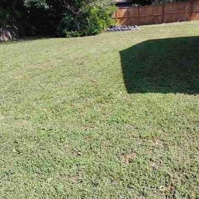 Bush Trimming by D.P.S (Dave Property Services) reviewed on August 20, 2026